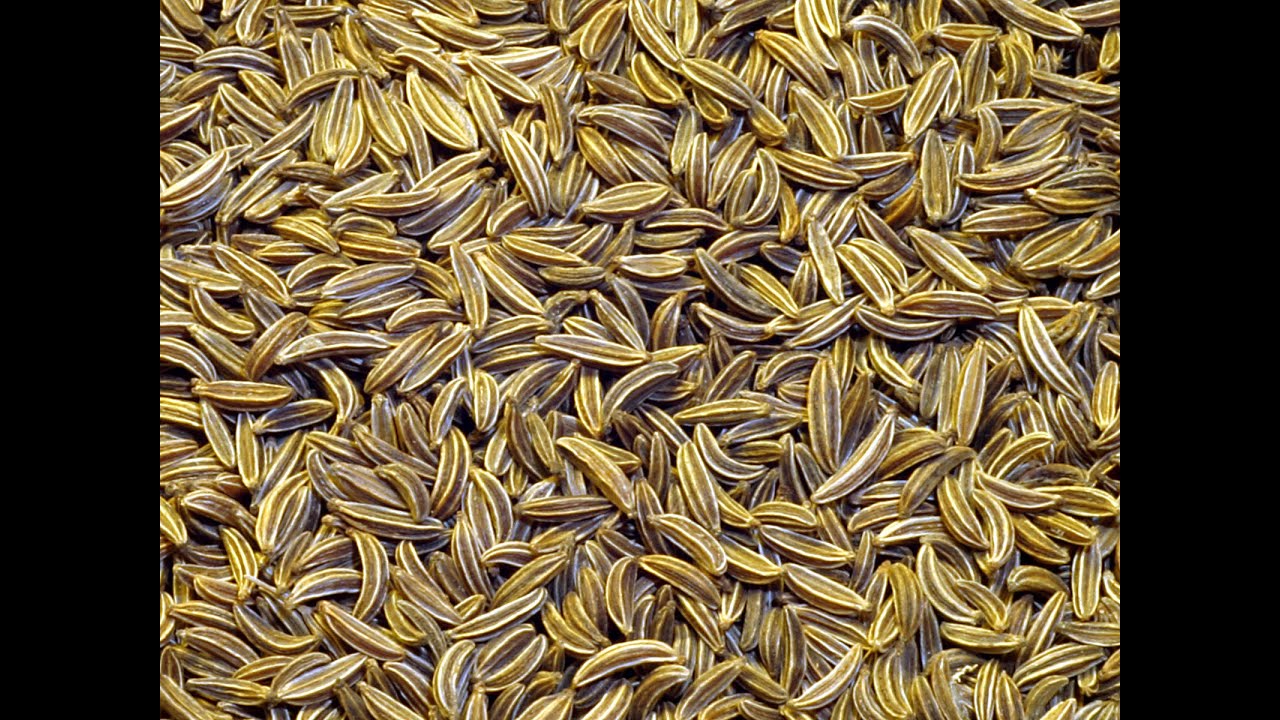 Cumin 101 - Suggested Flavor or Food Combos Using Cumin