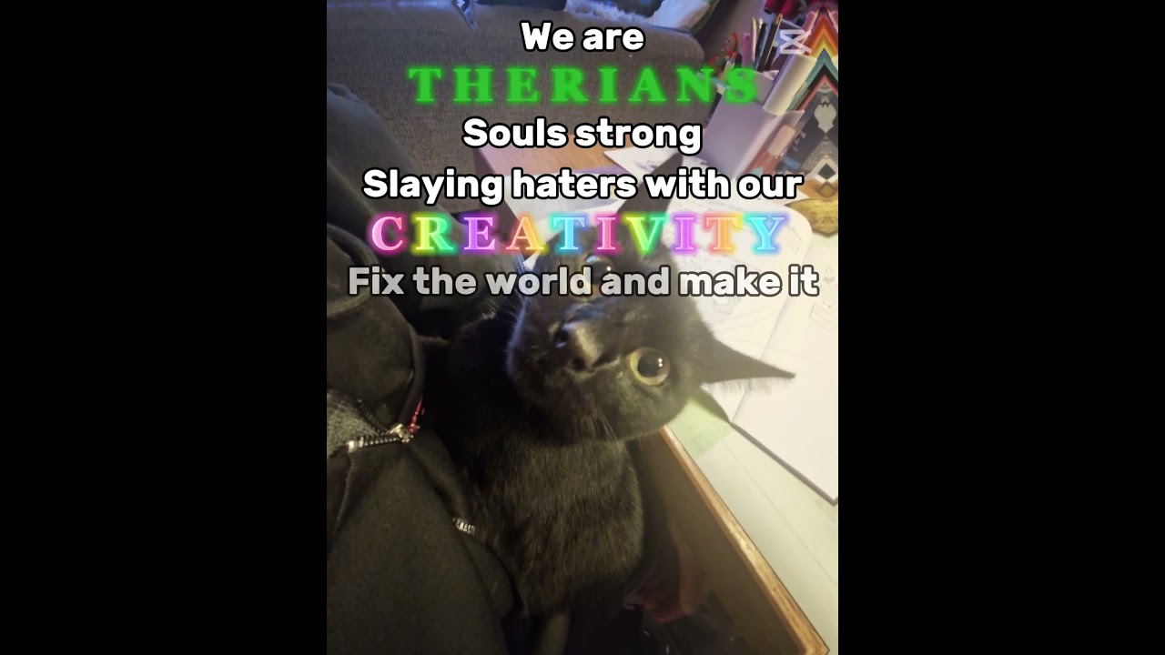 me and my catX3#quadrobics #furry #therianlife #kandikid #edit