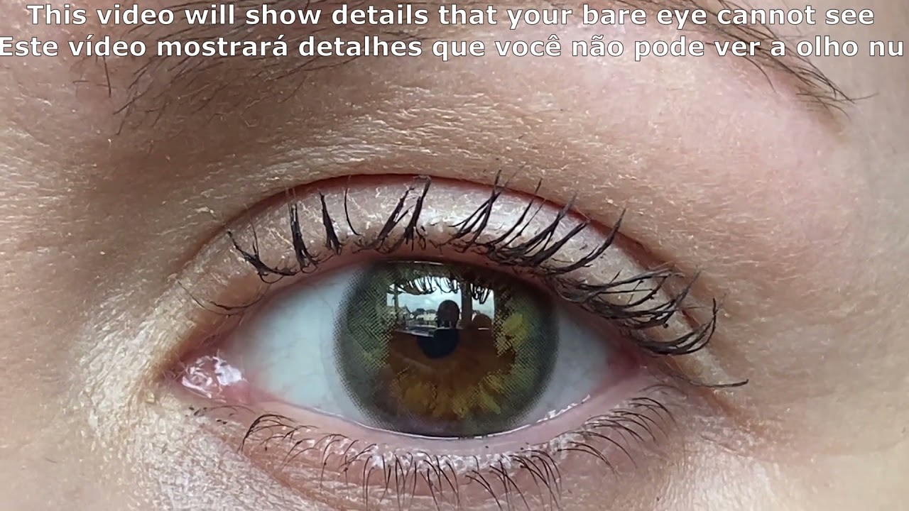 SECRET GARDEN BROWN - TTDEYE Contact Lenses 👁️&zwj;🗨️🌻👁️&zwj;🗨️