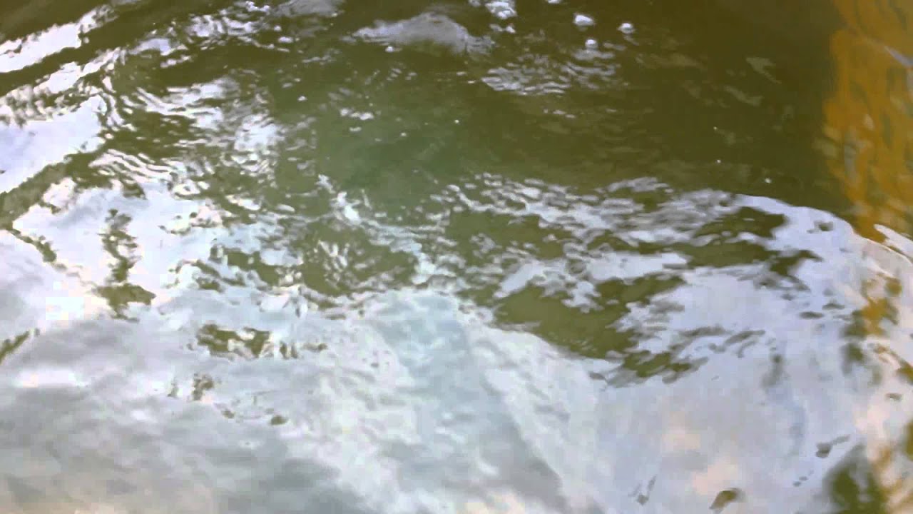 Agua de pozo y cloro, aclarada con agua oxigenada