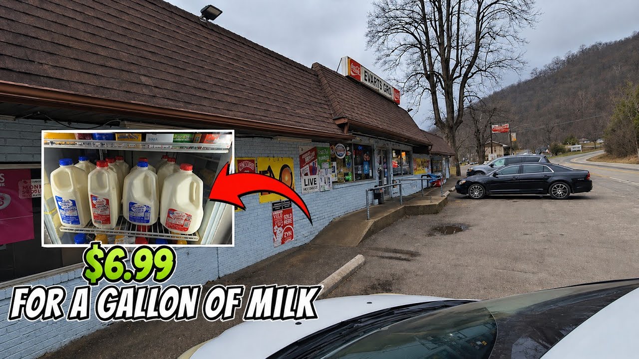 Анализ цен и распродаж.