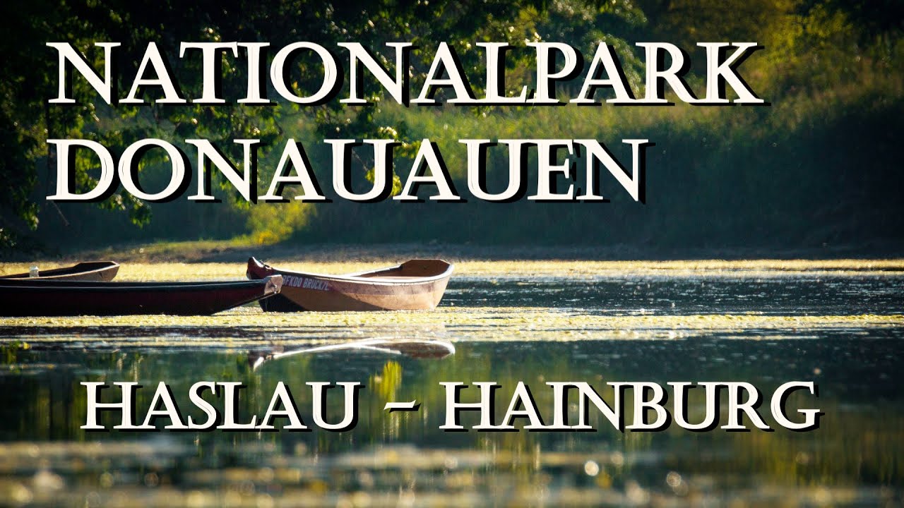 Hitzeschlacht an der Donau - Von Haslau bis Hainburg an der Donau