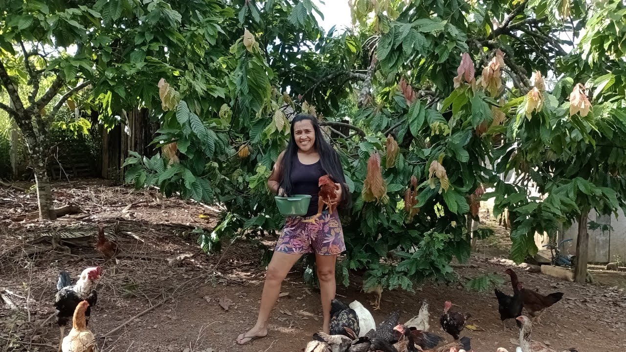 Olhem as maravilhas do meu mundinho #pará