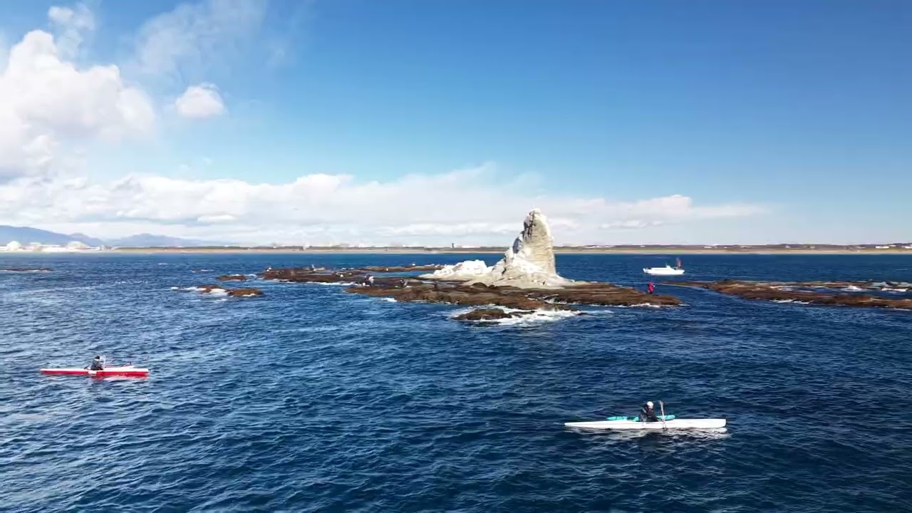 COCC COLD WATER 20260125