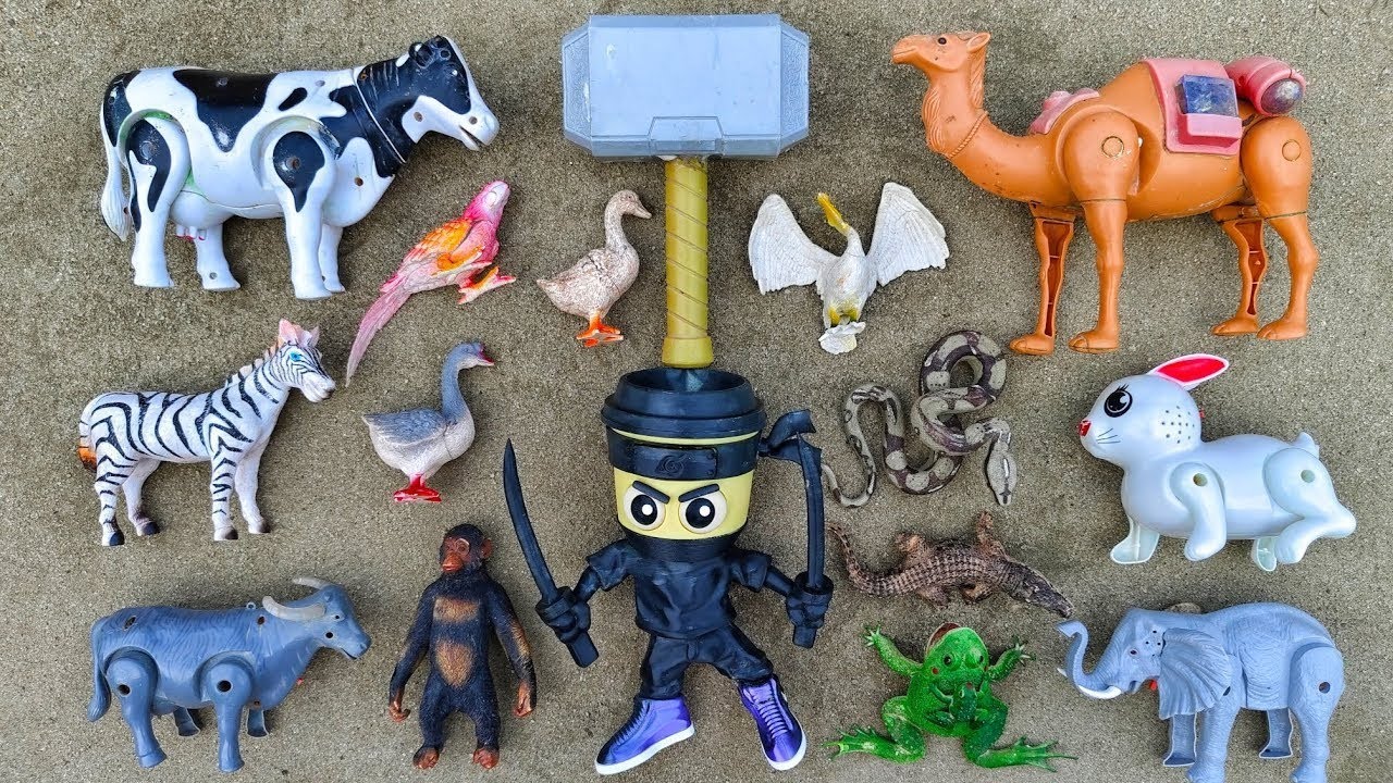 Menemukan hewan sapi, bebek, angsa, ayam, gajah, gorilla, simpanse, singa, unta, buaya, zebra.