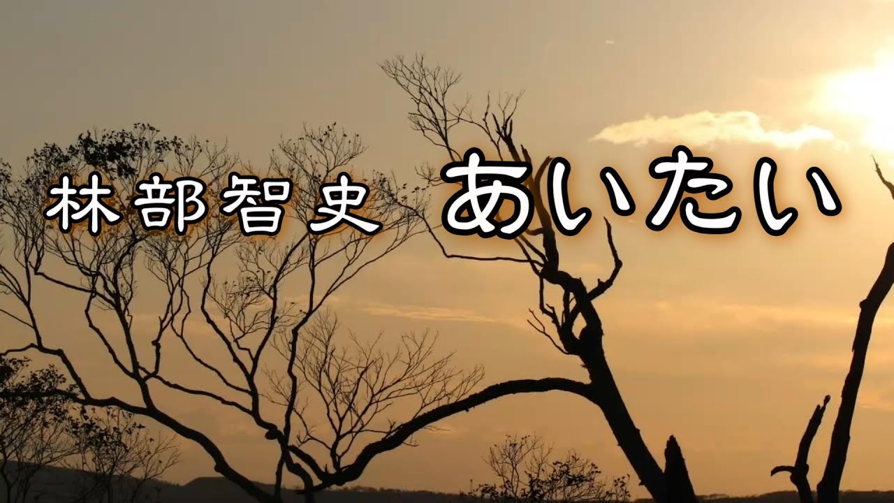 あいたい　林部智史