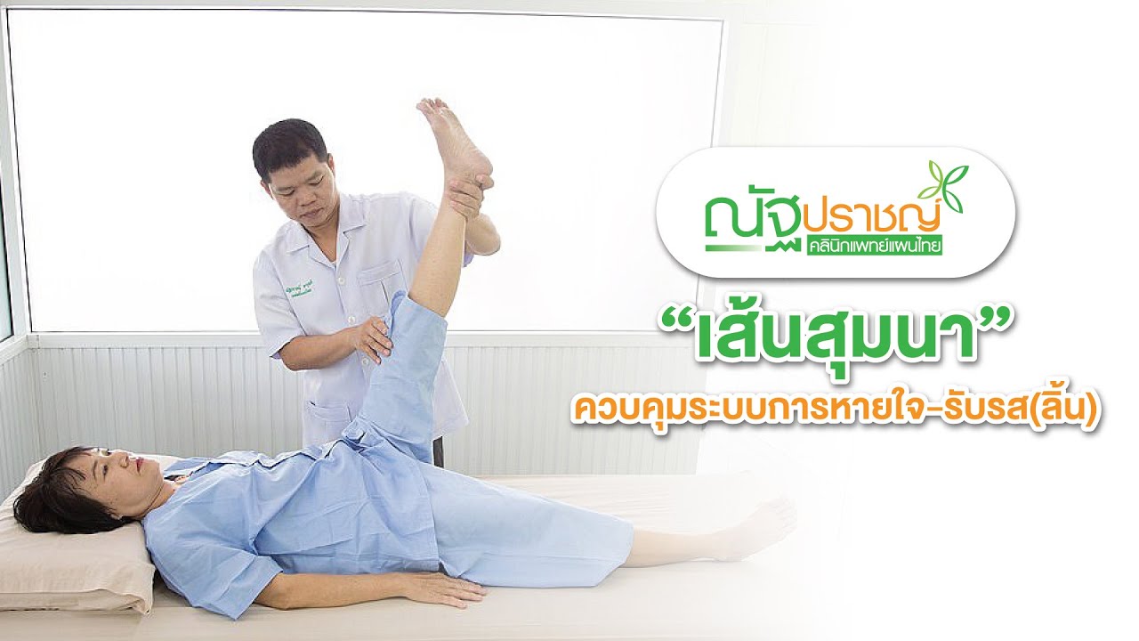 EP.03 เส้นสุมนา ควบคุมระบบการหายใจ-รับรส (ลิ้น)