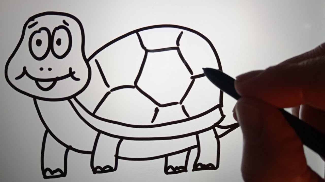 Disegnare coniglietto orsetto papera tartaruga facili