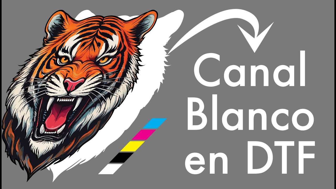 Canal Blanco en DTF: Todo lo que Debes Saber