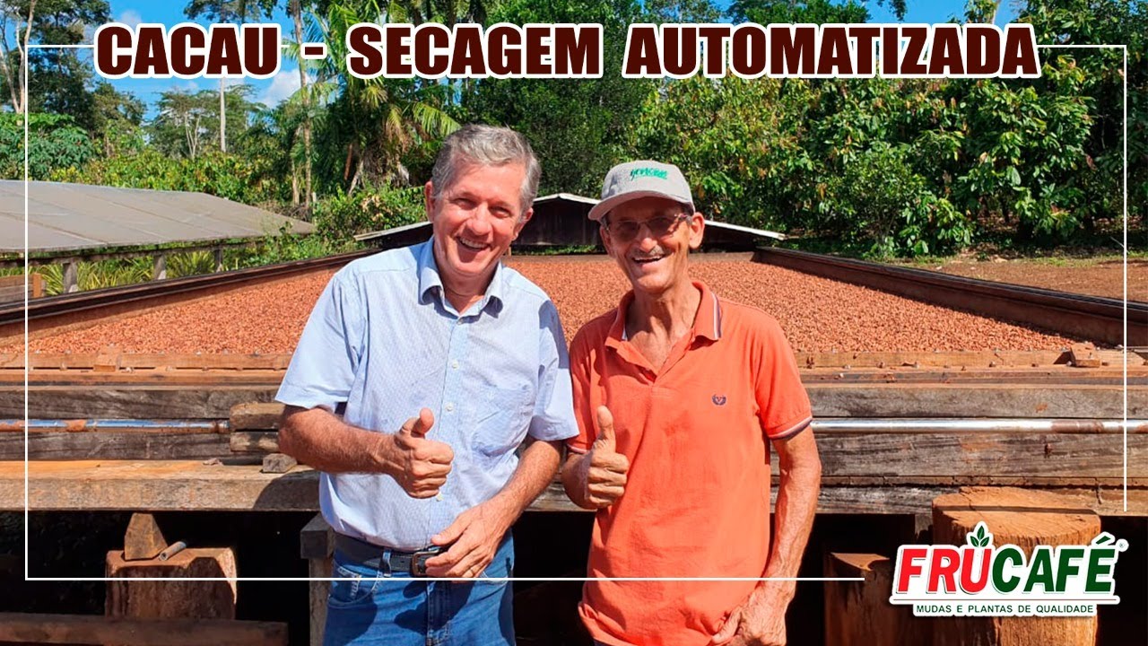 Como Automatizar a  Barcaça para a Secagem das Amêndoas de CACAU?