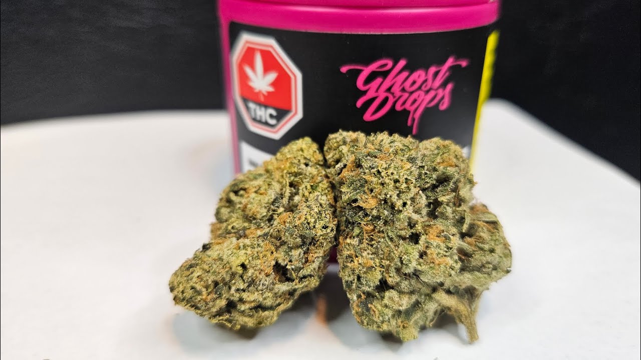 Strain Review Sour Gushers By Ghost Drops