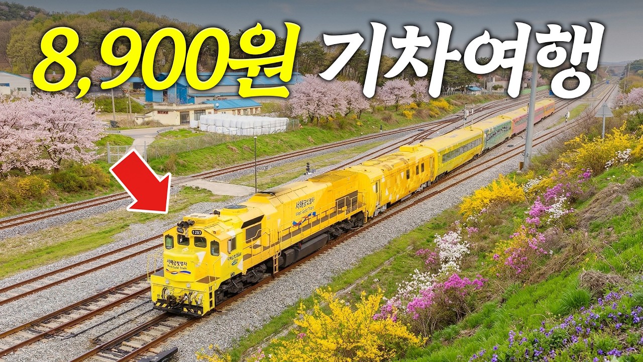 요즘 다들 이걸로 여행 갑니다ㅣ 모르면 손해 보는 가성비 열차 여행 (+ 여행지 소개, 꿀팁공개!)