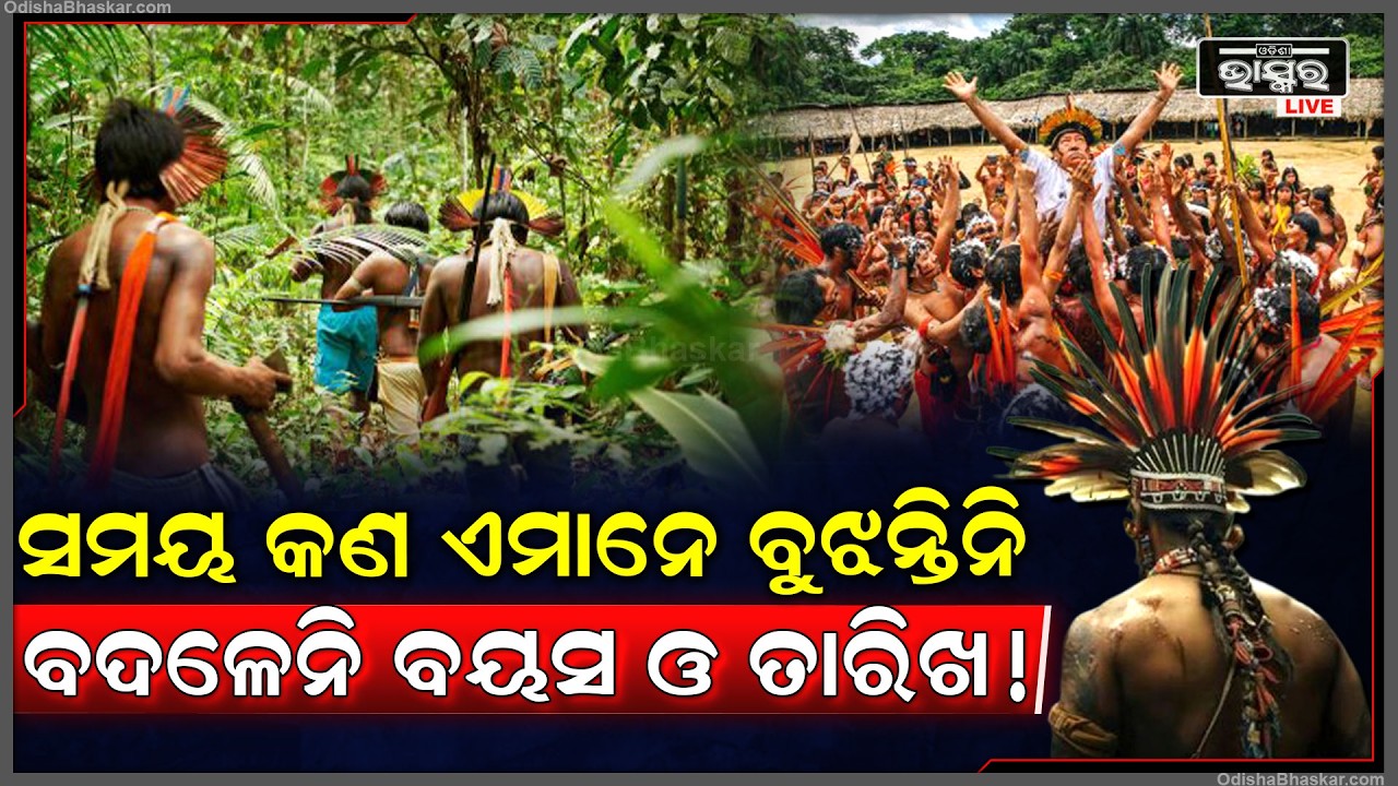 ସମୟ କଣ ଏମାନେ ଜାଣନ୍ତିନି ..ମାସ ,ବର୍ଷ ଏମାନଙ୍କ ପାଇଁ ଅର୍ଥ ହୀନ...ଜଙ୍ଗଲ ସେମାନଙ୍କ ପାଇଁ ସବୁ କିଛି