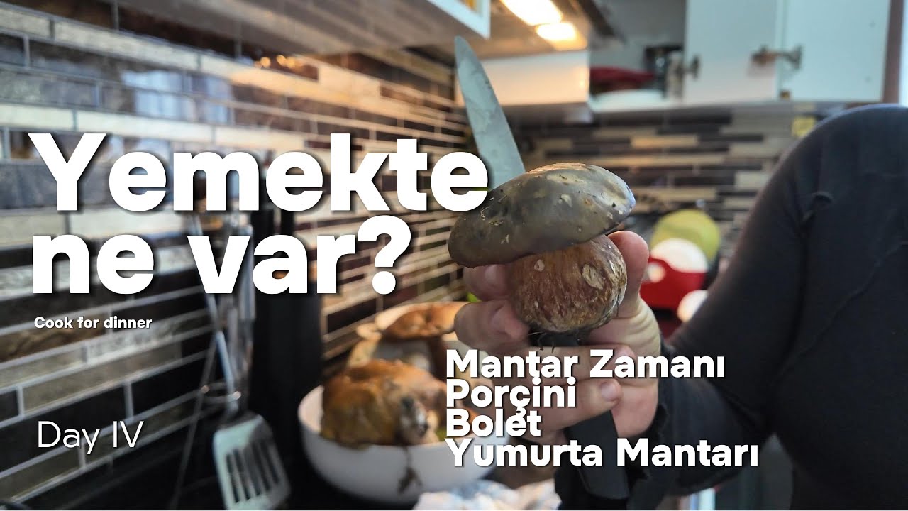 Mantar Sezonu Başladı! Porçini, Bolet ve Yumurta Mantarı Nasıl Temizlenir & Pişirilir?