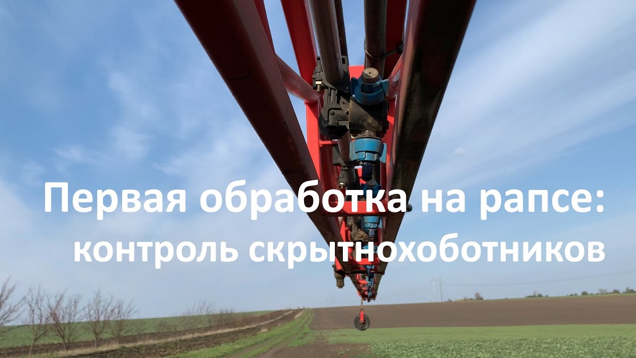 Контроль скрытнохоботников на рапсе на ДемоЦентре