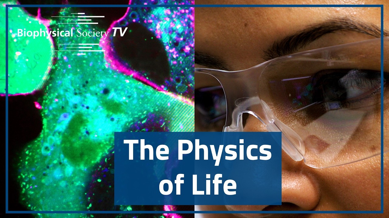 The Big Questions in Human Health, from the Smallest Scale | University of New South Wales