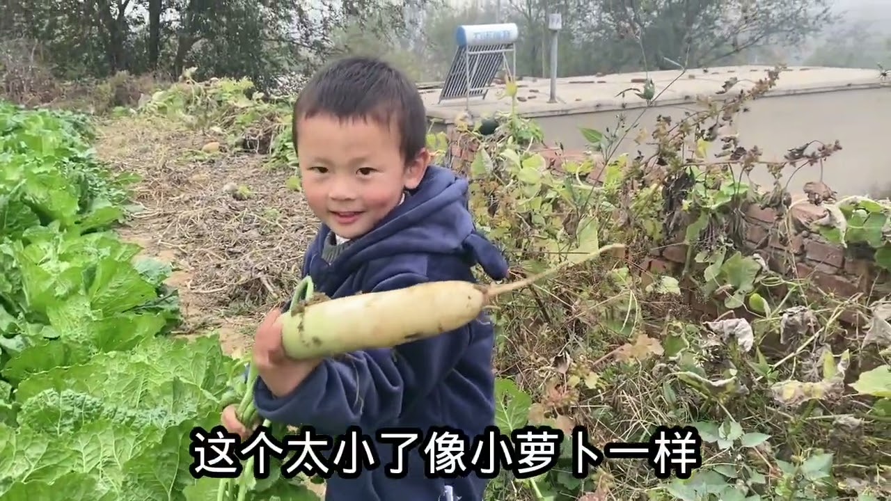 祖孙三代拔萝卜，凡凡调皮捣蛋唱加油歌，萝卜一个比一个大真过瘾 #我的农村真实生活 #纯天然绿色蔬菜 #勤劳的农村人 #田园生活 #菜园子有机蔬菜 #农村孩子的乐趣 #小菜园