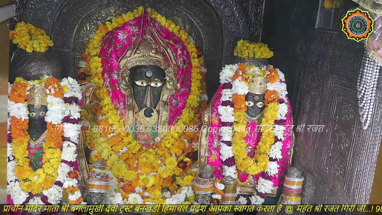 Maa Baglamukhi Official_Live Darshan_mahant shree Rajat giri ji_