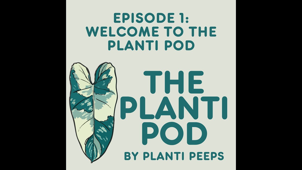 The Planti Pod Episode 1: Welcome to the Planti Pod