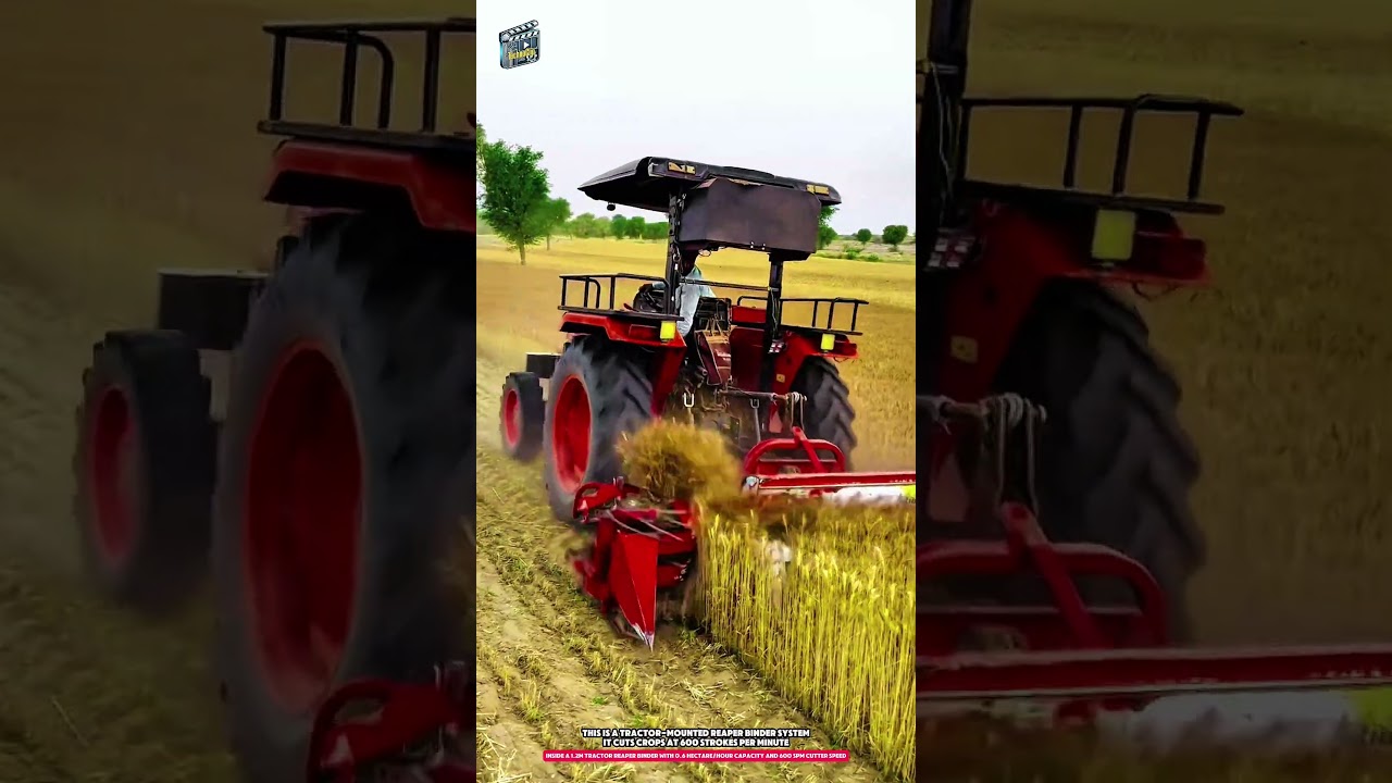 Inside a 1.2m Tractor Reaper Binder with 0.6 Hectare/Hour Capacity and 600 SPM Cutter Speed