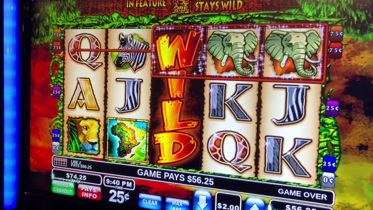 Wild Life Bonuses with 3 Wilds!