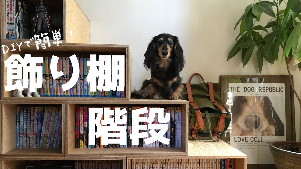 息子の汚部屋改装計画【階段作り編】