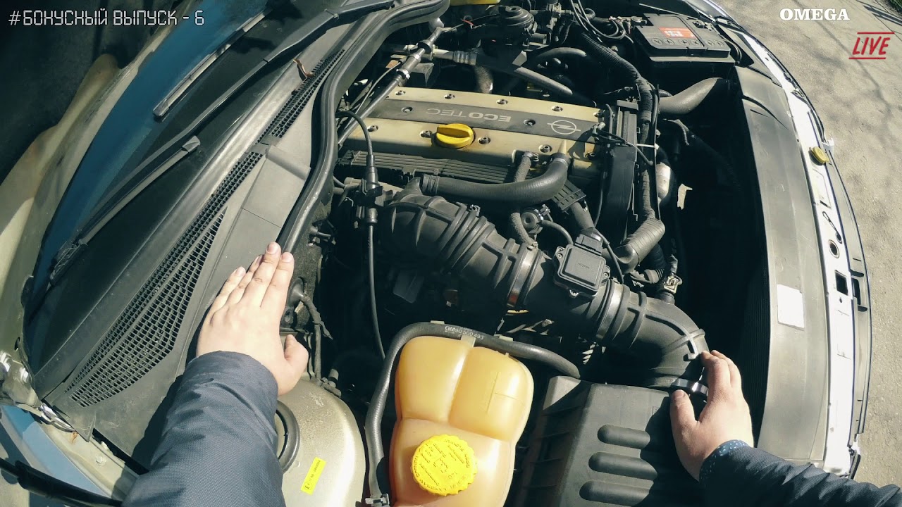 Первые действия с OPEL OMEGA B после покупки [OMEGA LIVE #Бонусный выпуск-6]