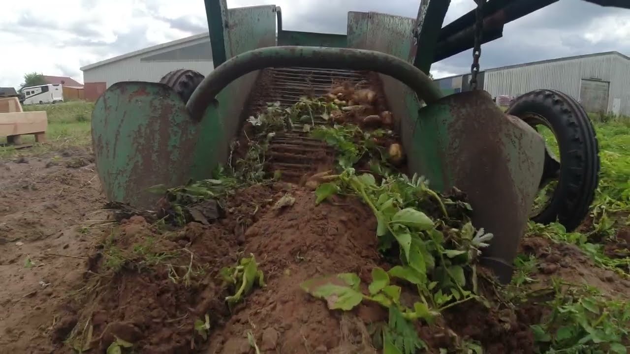 Kartoffelernte wie früher mit Deutz D 30 und Lanz Siebkettenroder - DJI Mini 2