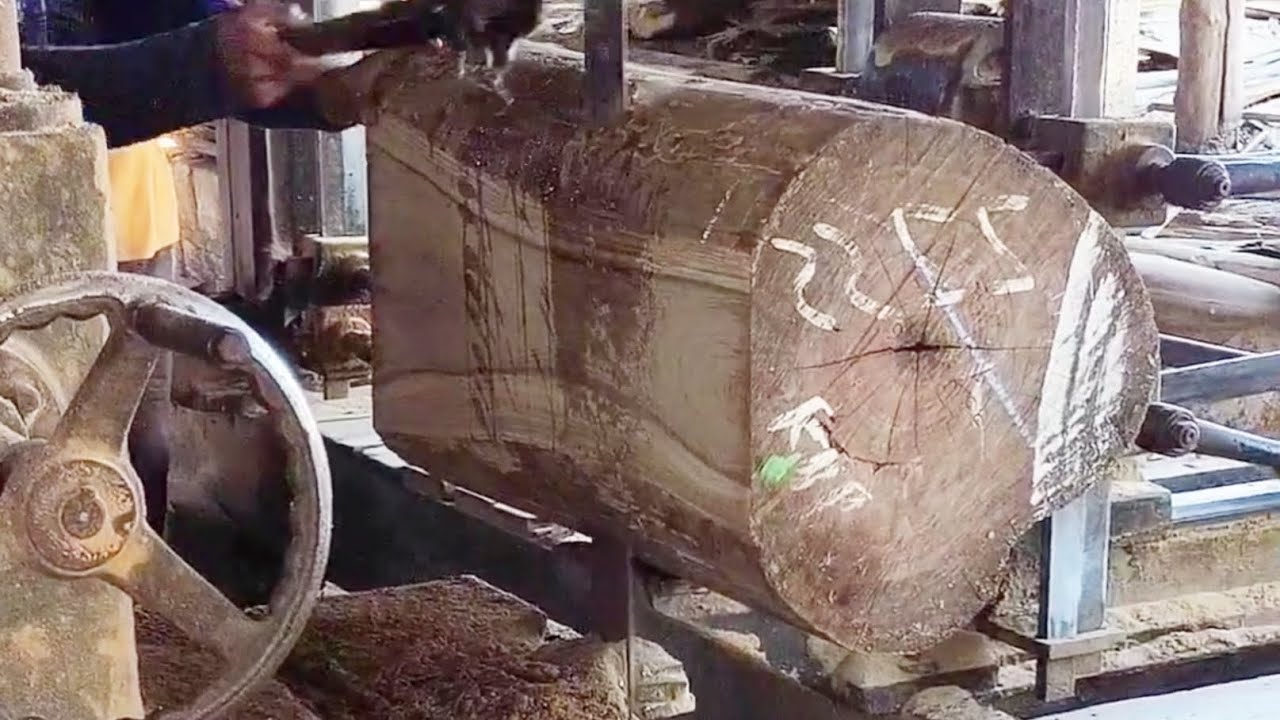 split 0.7M teak wood at the sawmill #woodworking #russia #america #korea #india #sawmill #bandsaw