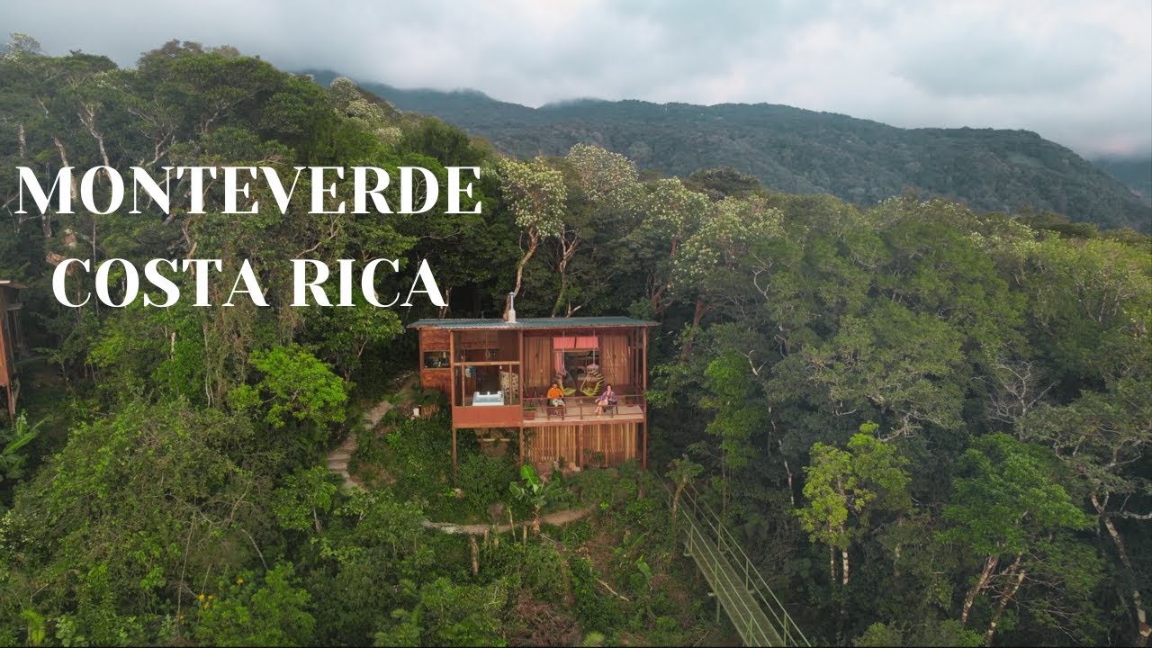 CRAZY TREEHOUSE IN MONTEVERDE COSTA RICA 4K