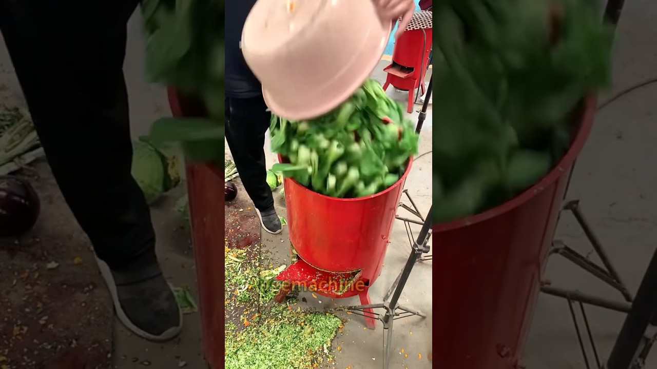 Vegetable grinder #haycutter #grinder #forage #chaffcutter #chaffcutter #baler #pellet #pelletmill