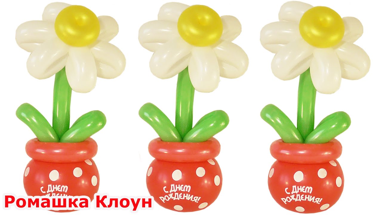 РОМАШКА ИЗ ШАРИКОВ в горшке ПОДАРОК день рождения Balloon Flower Daisy DIY flores con globos