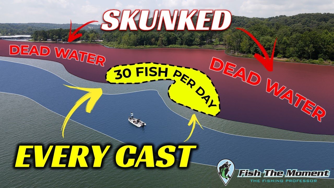 These Summer Ledge Bass are Dumb and Ready to Eat! | SideScan, DownScan. 2D Sonar Instruction