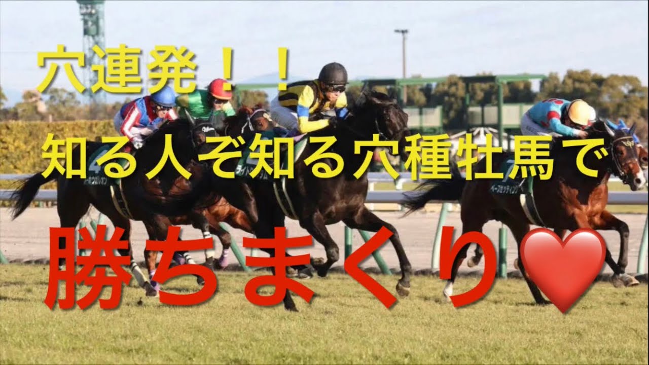 【競馬】穴連発！！知る人ぞ知る穴種牡馬を買えば勝てる説【検証】