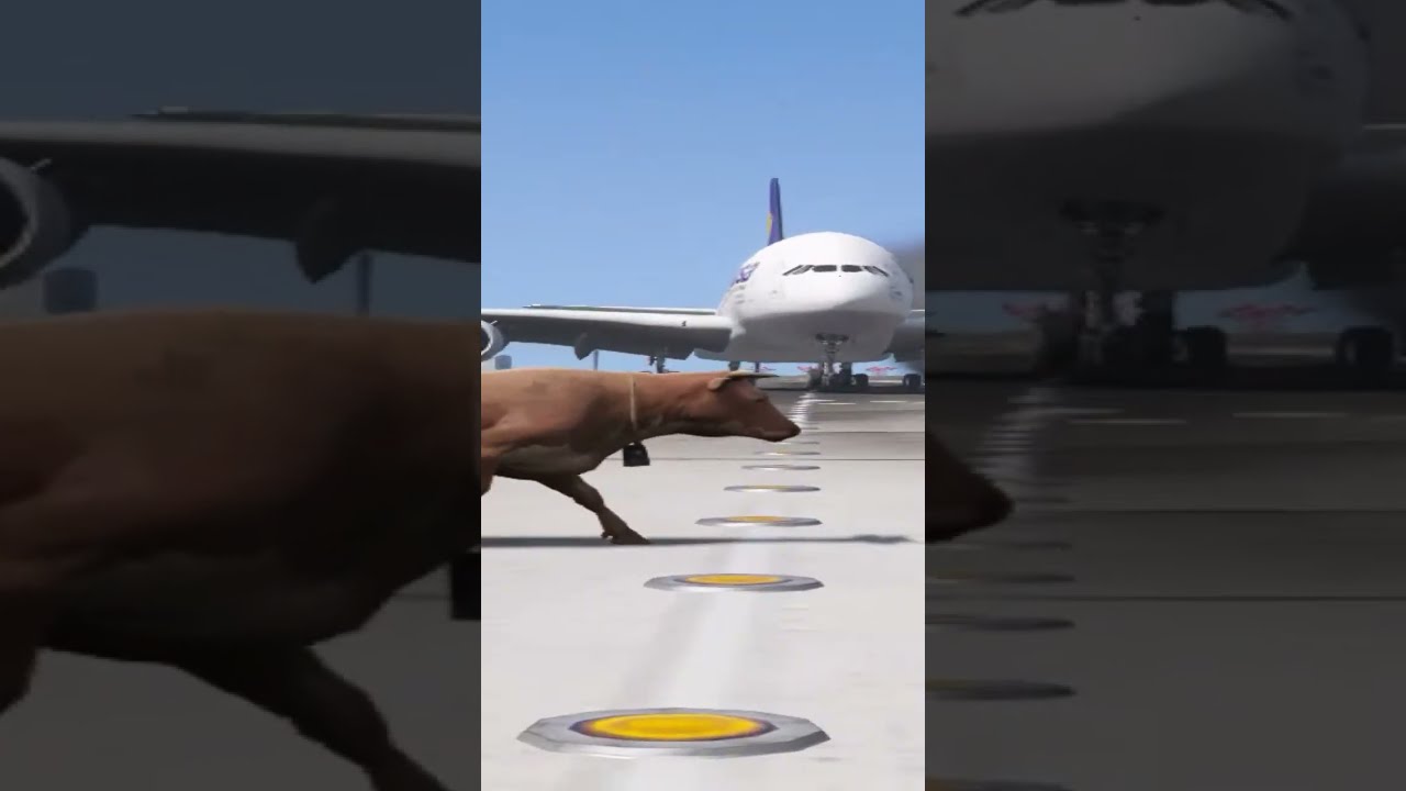 Cow Accidentally Comes Runway During PLane Landing Gtav