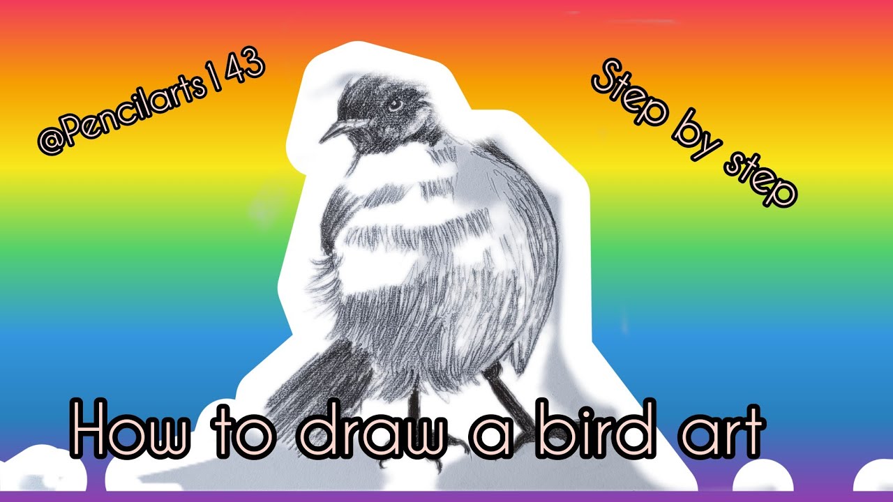 How to draw realistic bird art