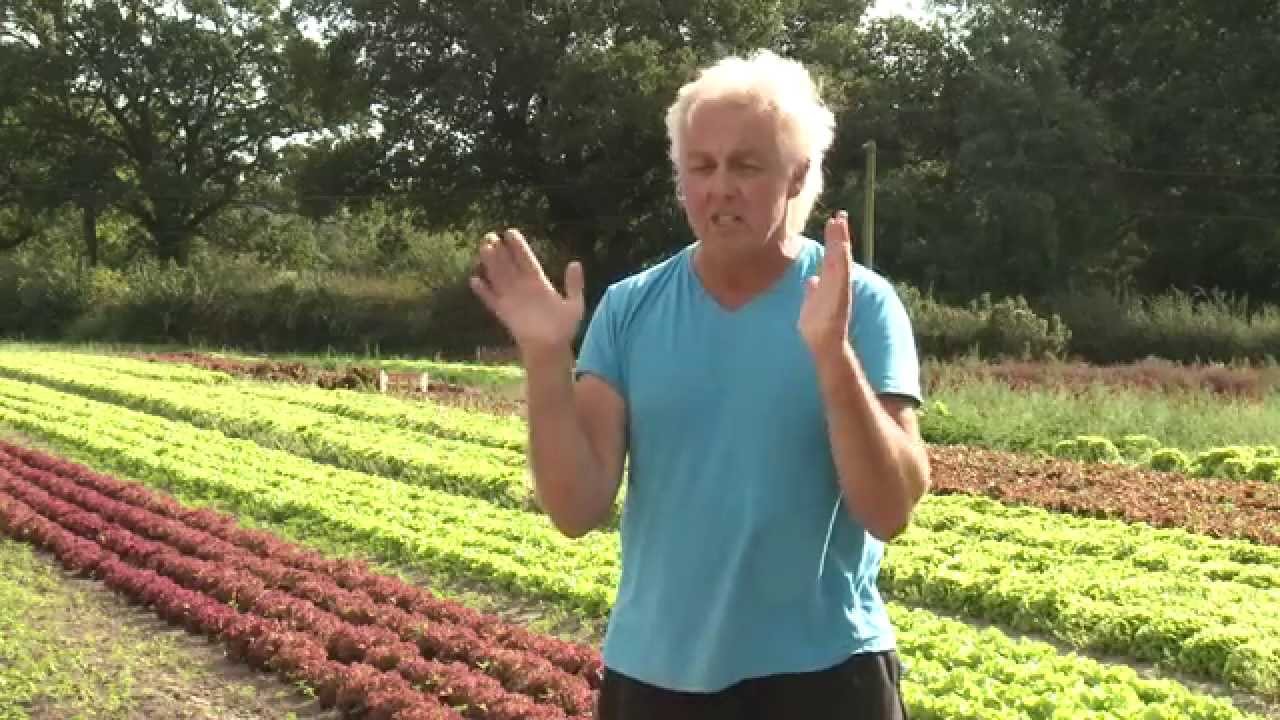 Sustainability: our local fruit and vegetable supplier