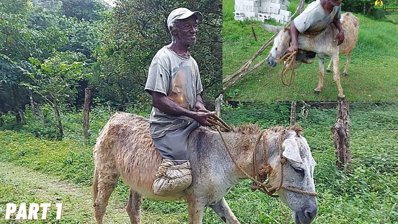 JAMAICA RAILWAY TRAIN RAN OVER HIS LEGS IN 1984 AND HE IS GIVING THANKS FOR LIFE IN 2021