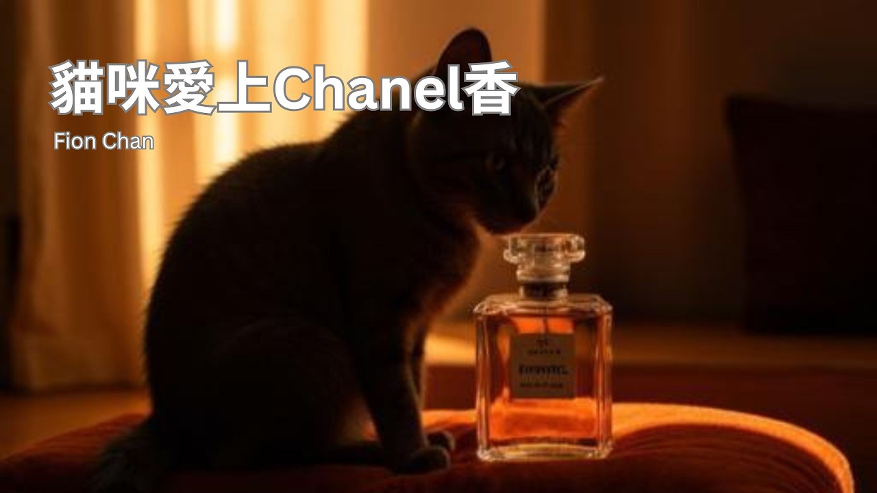 貓咪愛上Chanel香