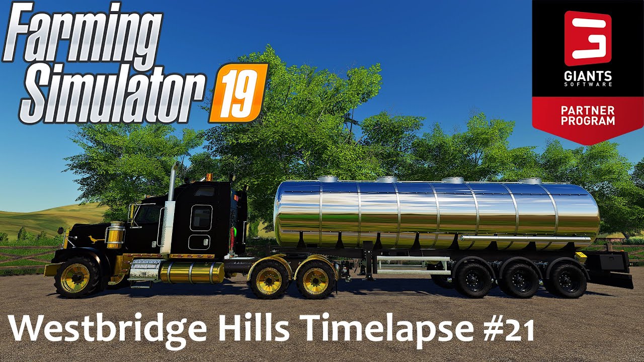Harvesting Oat And Selling Milk | Westbridge Hills #21 | FS19 Timelapse