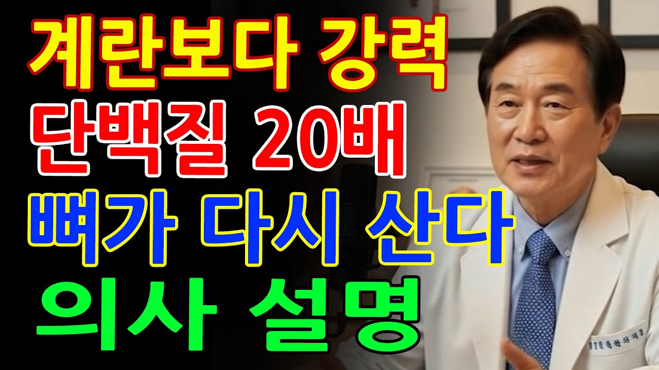 의사가 말하는 노인 건강! 계란보다 20배 강력한 단백질과 우유보다 1.5배 빠르게 흡수되는 뼈 회복 음식 3가지, 대부분 모르시는 칼슘 음식의 진짜 비밀