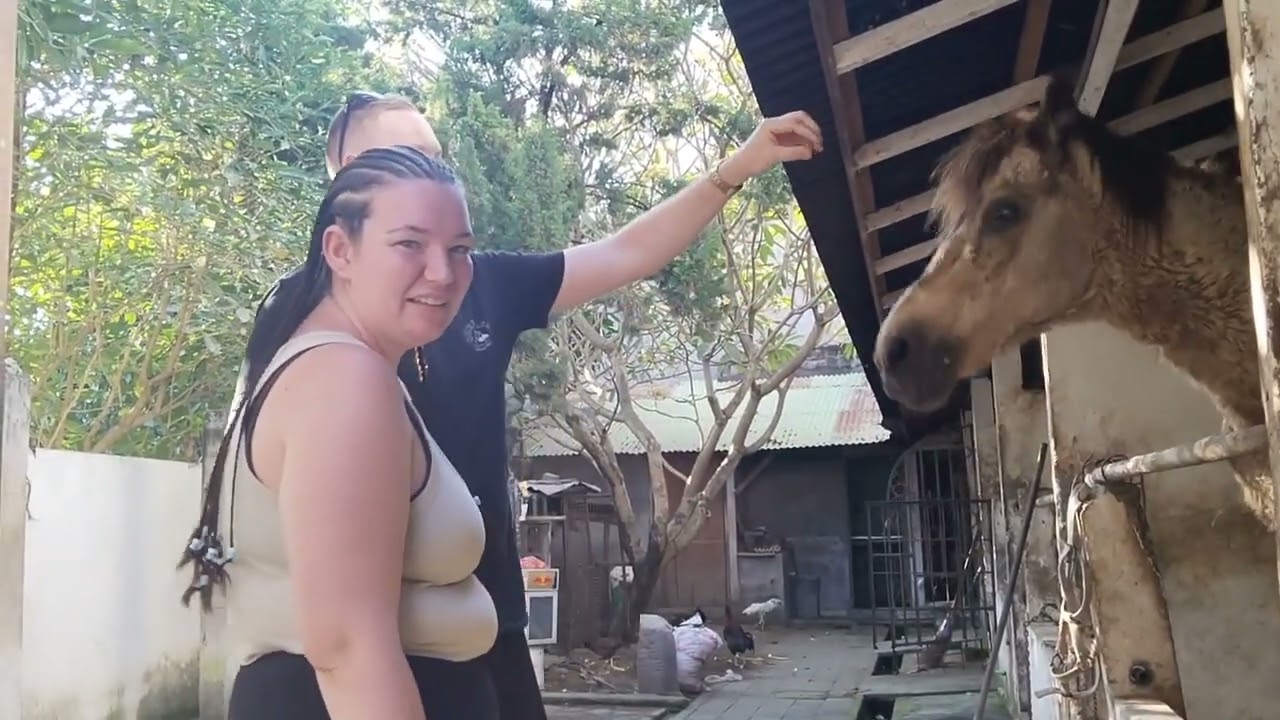 surfing and horses riding at seminyak beach