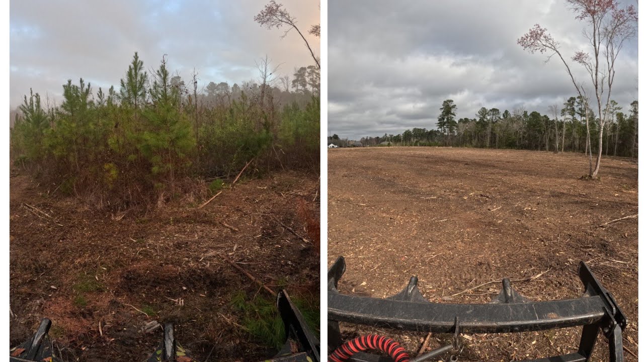 Watch This Machine Eat Trees! | 6 Acres of Forestry Mulching”