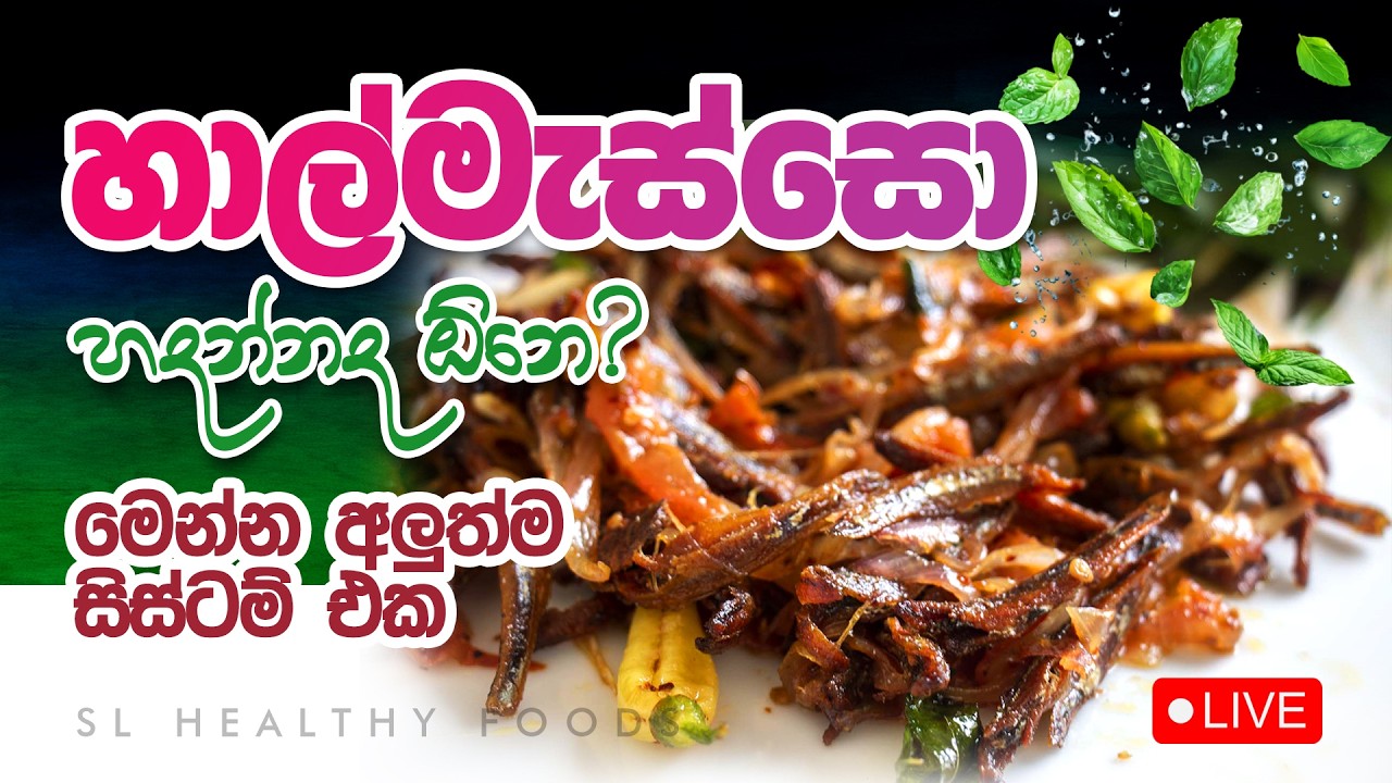 හාල්මැස්සො ද හදන්න ඕනේ  මෙන්න අලුත්ම සිස්ටම් එක