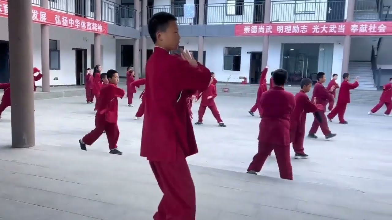 Wudang  : training life