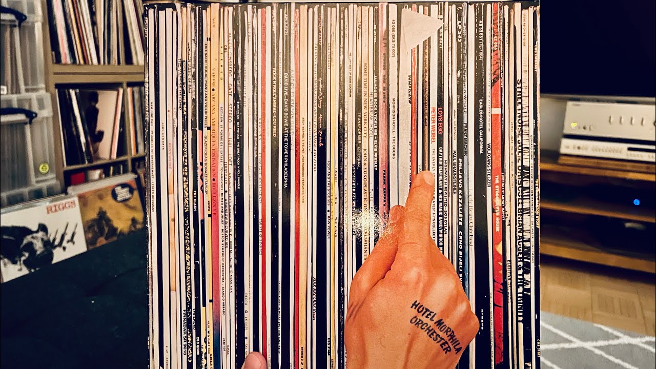 The World’s Worst Records & andere kuriose Alben + Vinyl LP Highlights aus der Schallplattensammlung