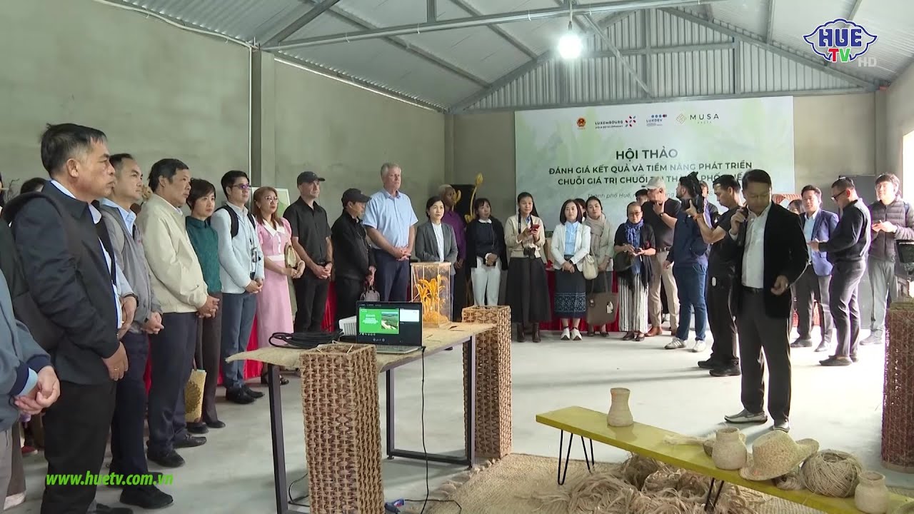 Nhiều tiềm năng phát triển chuỗi giá trị chuối tại thành phố Huế