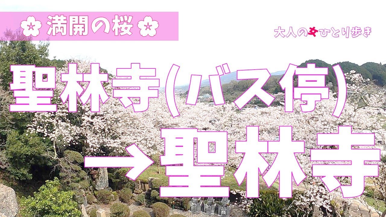 奈良：聖林寺バス停から聖林寺まで歩いてみました