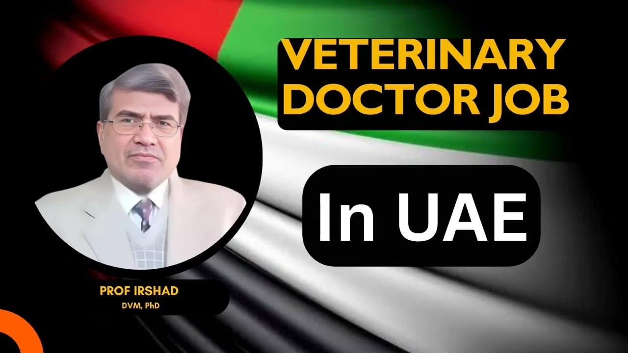 How to get a Veterinary Job in the UAE