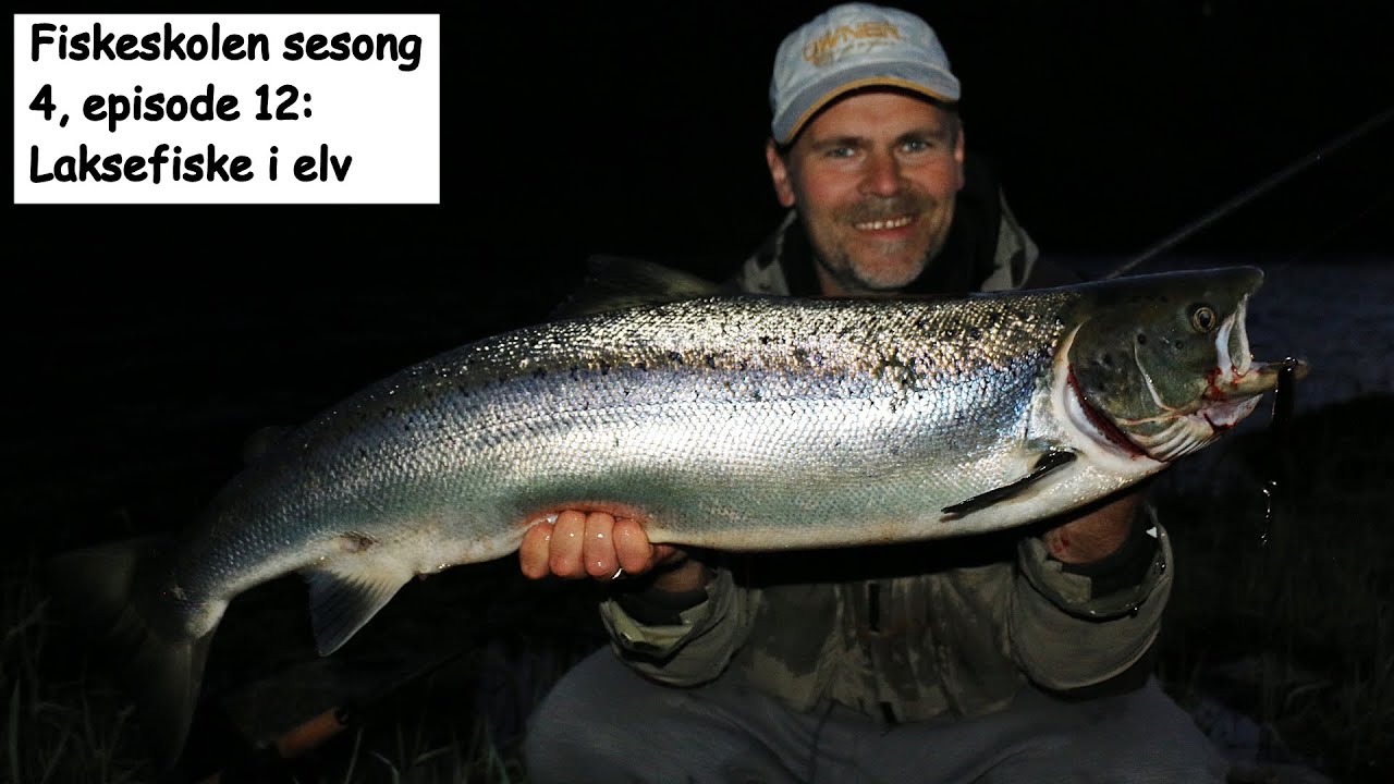 Fiskeskolen sesong 4, episode 12: Laksefiske i elv